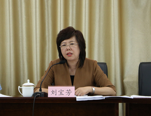 临江市召开环保督察工作安排部署会议